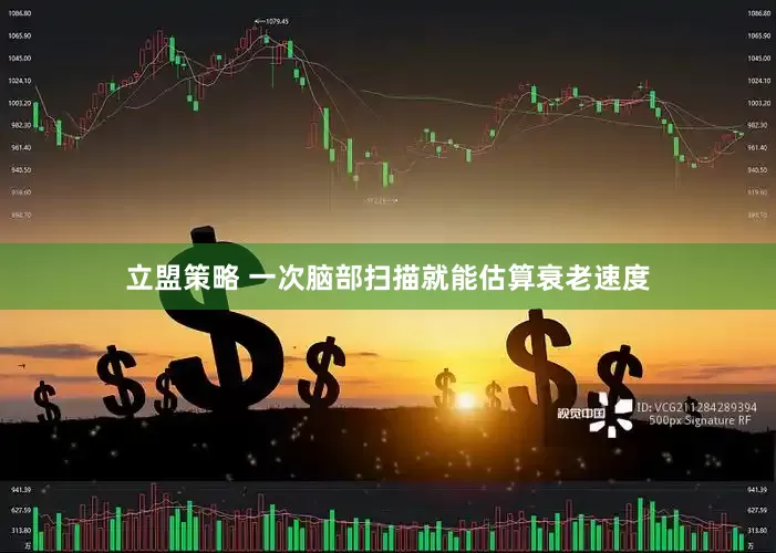 立盟策略 一次脑部扫描就能估算衰老速度