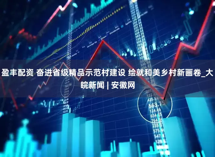盈丰配资 奋进省级精品示范村建设 绘就和美乡村新画卷_大皖新闻 | 安徽网