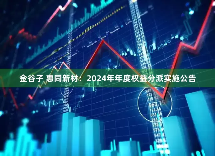 金谷子 惠同新材：2024年年度权益分派实施公告